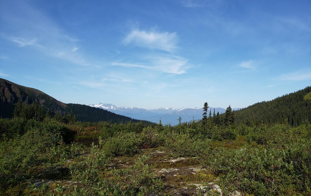 Wildcat Well - 20190804_084212