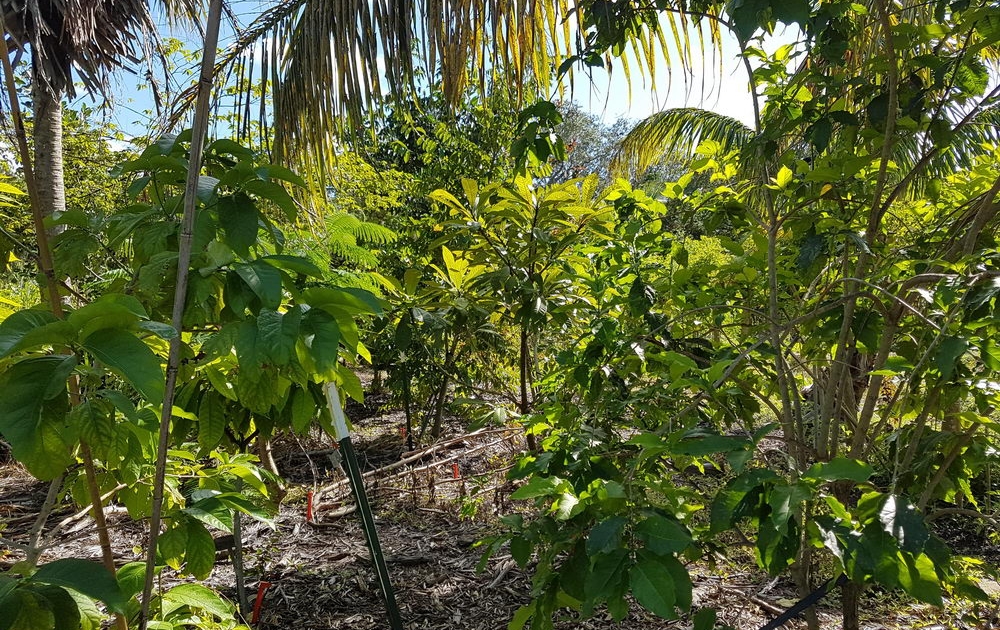 culturally-relevant-20171114_120342