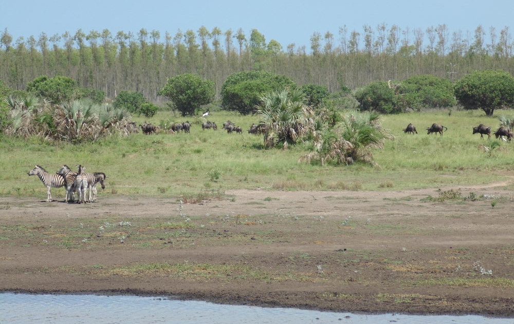 culturally-relevant-DSC02230