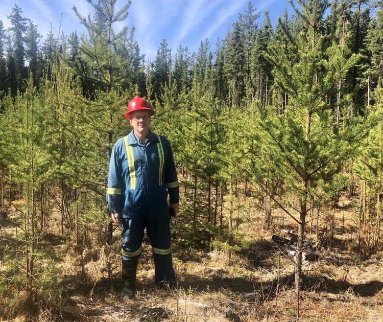 Reclaimit Faster Forests site in northeast Alberta