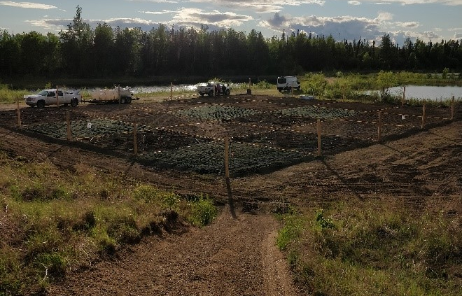 Figure 2. Trial #2 overview, post-planting, June 2019.