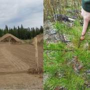 Innovative, ecological reclamation work empowering a better Saskatchewan through sustainability