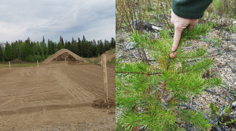 Innovative, ecological reclamation work empowering a better Saskatchewan through sustainability