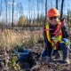 Local worker establishing white birch (Betula papyrifera) within wildfire scorched land, Kakisa, NWT.